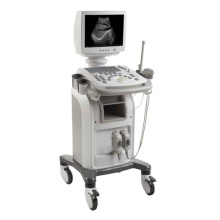 Sistema de diagnóstico de ultrasonido digital portátil